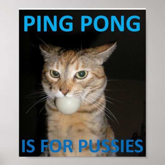Ping Pong is bestemd voor pussieën Poster (Voorkant)