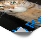 Ping Pong is bestemd voor pussieën Poster (Hoek)