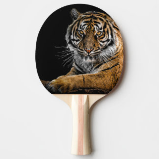 Ping Pong Paddle met lendenontwerp Tafeltennisbatje
