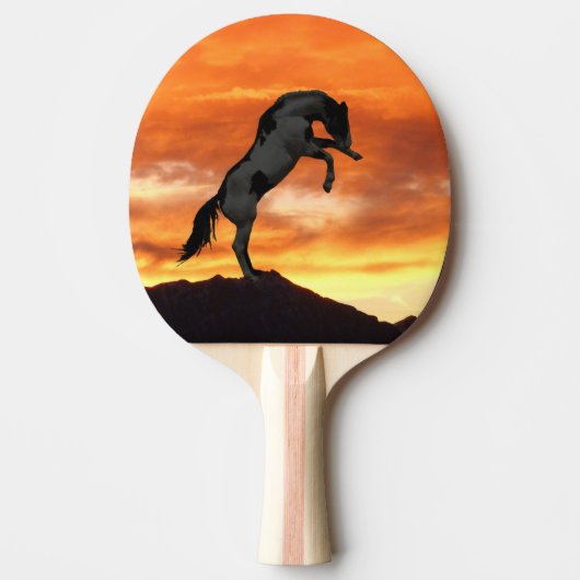 Ping Pong Paddle Tafeltennisbatje (Voorkant)