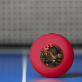 Ping pong vibes pingpongbal (Net)