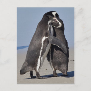 Pingo Knuffel Ansichtkaart Briefkaart