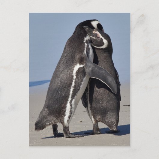 Pingo Knuffel Ansichtkaart Briefkaart (Voorkant)