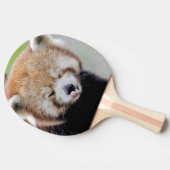 pingpong paddle Foto red panda , dieren. Tafeltennisbatje (Zijkant)