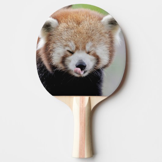 pingpong paddle Foto red panda , dieren. Tafeltennisbatje (Voorkant)