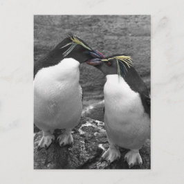Pinguïkleurensplash Briefkaart