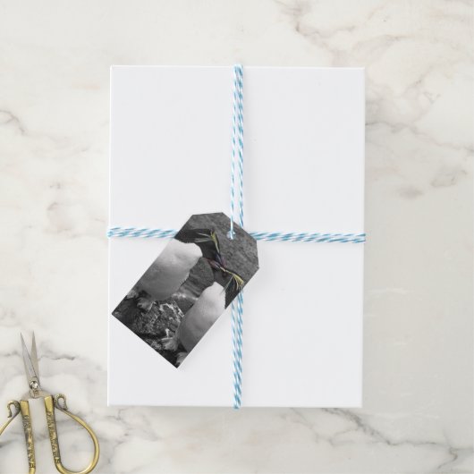 Pinguïkleurensplash Cadeaulabel (Met Touw)