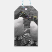 Pinguïkleurensplash Cadeaulabel (Voorkant)
