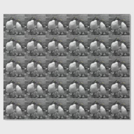 Pinguïkleurensplash Cadeaupapier