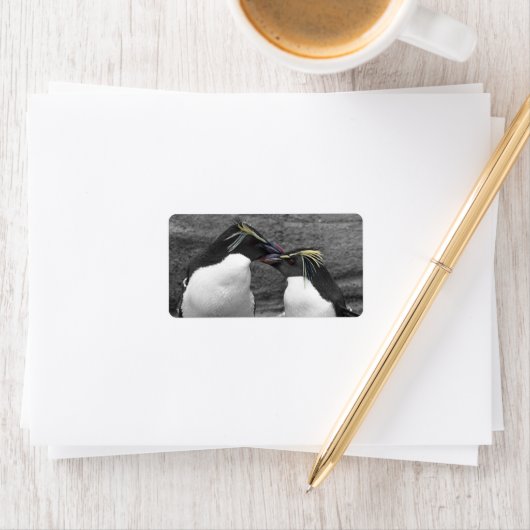 Pinguïkleurensplash Etiket (Insitu)