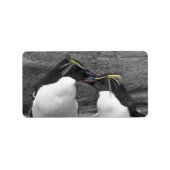 Pinguïkleurensplash Etiket (Voorkant)