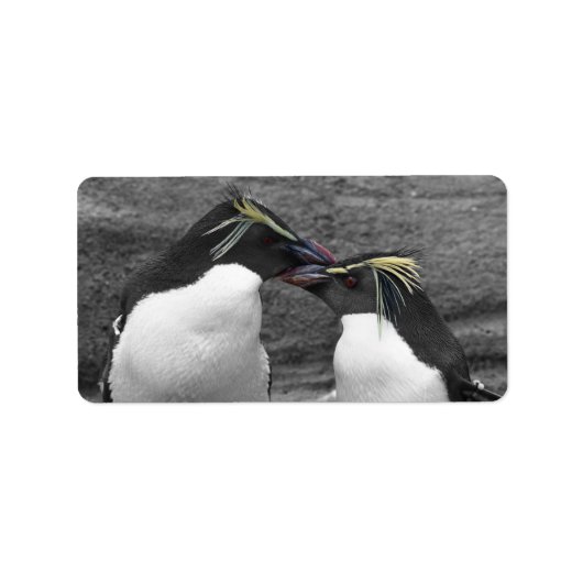 Pinguïkleurensplash Etiket (Voorkant)