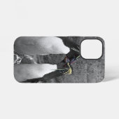 Pinguïkleurensplash iPhone Hoesje (Achterkant horizontaal)