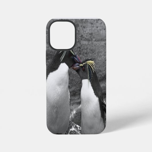Pinguïkleurensplash iPhone Hoesje (Achterkant)
