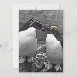 Pinguïkleurensplash Kaart
