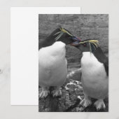Pinguïkleurensplash Kaart (Voorkant / Achterkant)