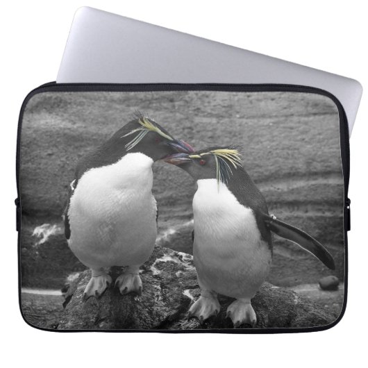 Pinguïkleurensplash Laptop Sleeve (Voorkant)