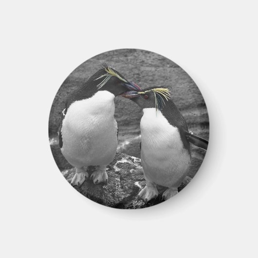 Pinguïkleurensplash Magneet (Voorkant)