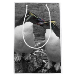 Pinguïkleurensplash Medium Cadeauzakje