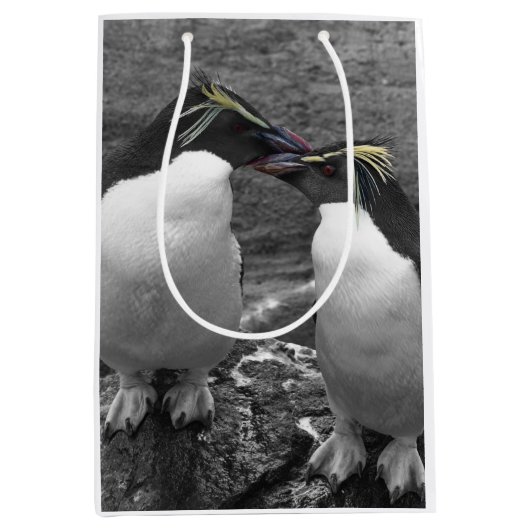Pinguïkleurensplash Medium Cadeauzakje (Voorkant)