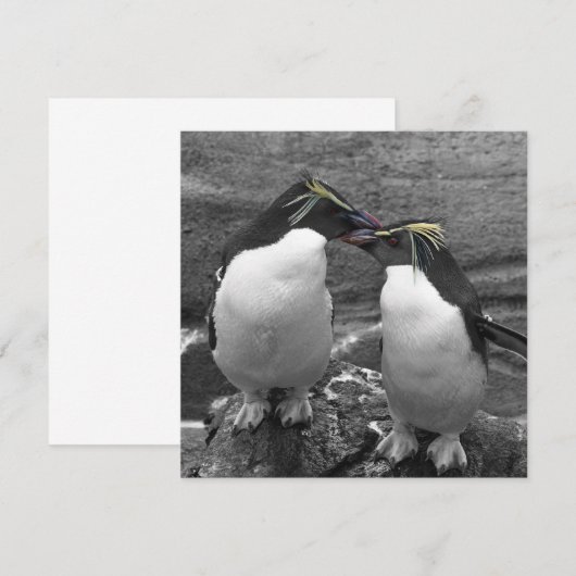 Pinguïkleurensplash Save The Date (Voorkant / Achterkant)