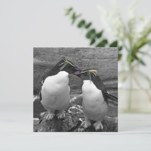 Pinguïkleurensplash Save The Date (Staand voorkant)