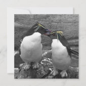 Pinguïkleurensplash Save The Date (Voorkant)