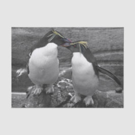 Pinguïkleurensplash Tissuepapier