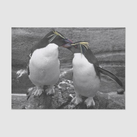 Pinguïkleurensplash Tissuepapier (Voorkant)