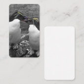 Pinguïkleurensplash Visitekaartje (Voorkant / Achterkant)