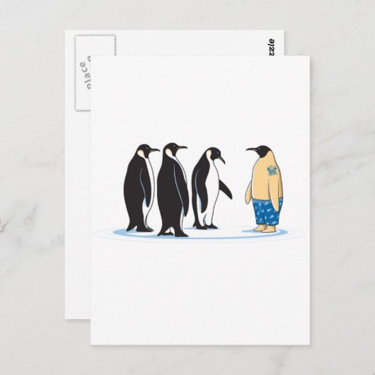 Pinguim Briefkaart (Voorkant / Achterkant)