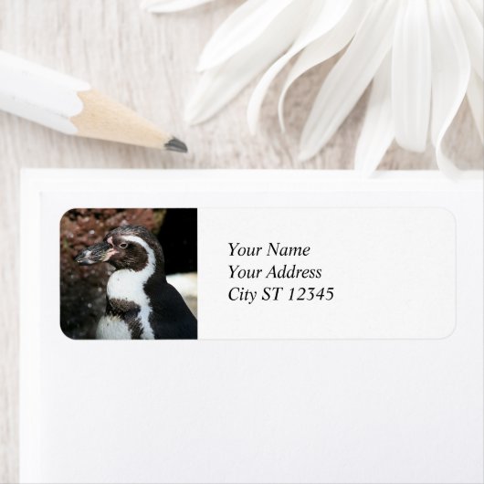 Pinguïn adreslabel etiket (Insitu)