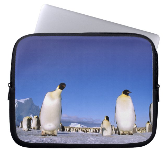 Pinguïn | Antarctica, Antarctisch Schiereiland Laptop Sleeve (Voorkant)