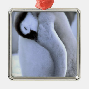 Pinguïn Antarctisch Schiereiland, Weddellzee Metalen Ornament