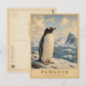 Pinguïn Antarctische Kust VINTAGE Briefkaart (Voorkant / Achterkant)