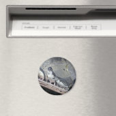 Pinguïn baars magneet (Insitu (Vaatwasser))