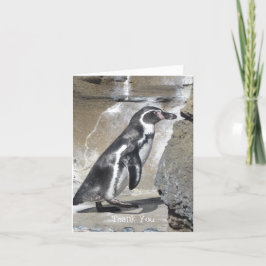Pinguïn Bedankt