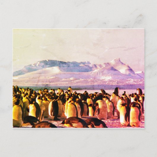 PINGUIN BRIEFKAART Holiday Briefkaart (Voorkant)