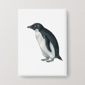 Pinguïn Button (Voorkant)