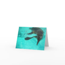 Pinguïn duikt in blauw water op een blanco