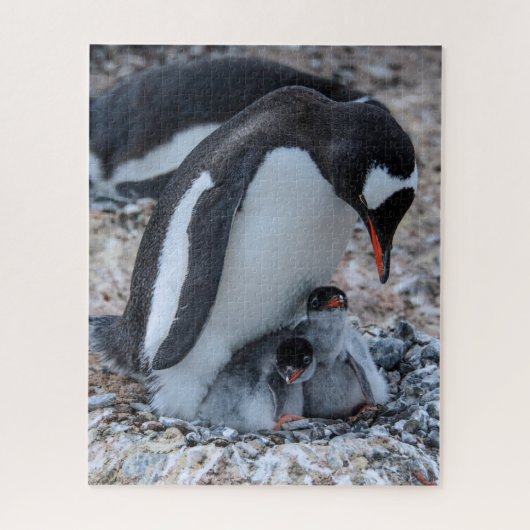 Pinguïn en kippen nesten op ijs legpuzzel (Verticaal)