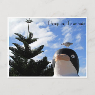 pinguïn en meeuw briefkaart