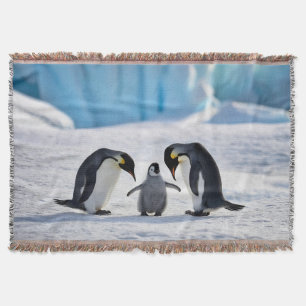Pinguïn familie gooit deken