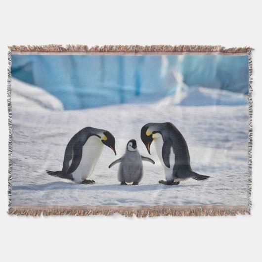 Pinguïn familie gooit deken (Voorkant)