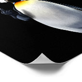 Pinguïn Flippers Up Weerstaan Grappige Pinguïns Te Poster (Hoek)