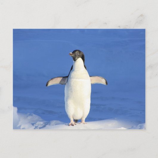pinguïn happy dance hug briefkaart (Voorkant)