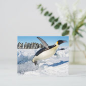 Pinguïn in Antarctica die uit het water springen Briefkaart (Staand voorkant)