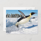 Pinguïn in Antarctica die uit het water springen Briefkaart (Voorkant / Achterkant)