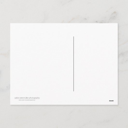 Pinguïn · Kerst Briefkaart (Achterkant)