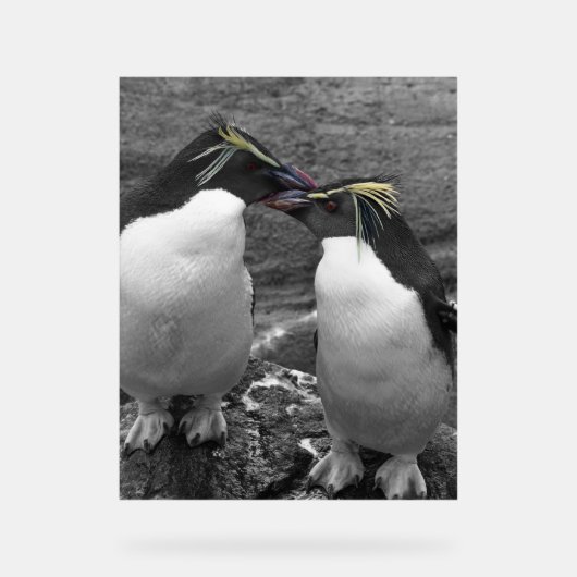 Pinguïn Kleurensplash Acryl Bord (Voorkant)